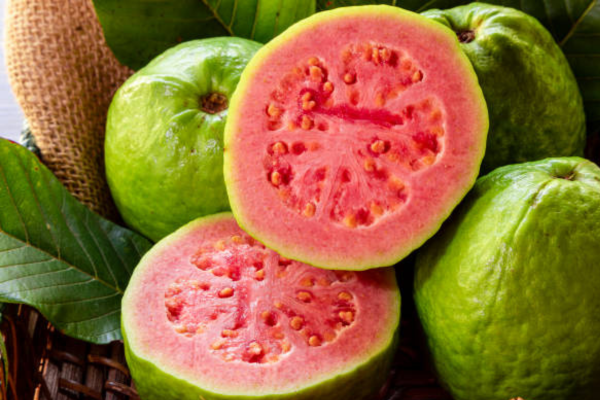 अमरूद: सर्दियों का साधारण लेकिन चमत्कारी फल